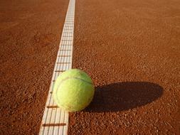 Yellow Tennis ball on Court line