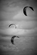 monochrome photo of Sea Kitesurf Windsurfing