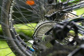 Close-up of the bottom bracket of the wheel, of the mountain bike