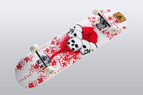 Skateboard with print