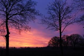 Beautiful landscape with the trees and fields at colorful sunrise on background