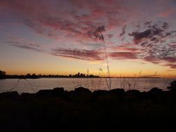 Beautiful landscape of the lake in Toronto, Ontario, Canada, at beautiful and colorful, gradient sunrise in the sky, with clouds