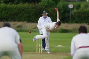 Cricket players, playing on the green field, near the green plants