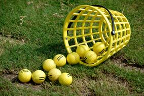 Close-up of the yellow basket, with the yellow and black golf balls, on the green grass, in light