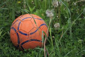 orange soccer ball in tall grass close up