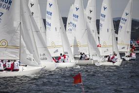 start of sailing races on the water