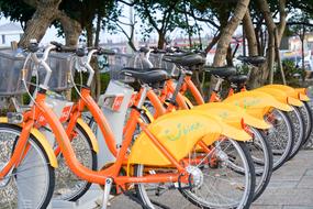 Colorful bikes, standing in the row, on the street, near the green trees