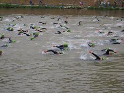 Colorful swimmers, in the beautiful Danube river, on triathlon in Ulm, Germany