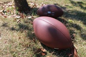 two american football balls lie on the autumn grass