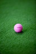 Golf Ball pink green grass