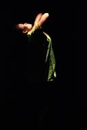 Person in the green clothing, on the dance performance, among the darkness