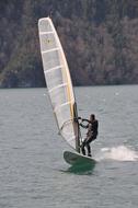 Man, windsurfing on the water, with ripple, near the colorful trees