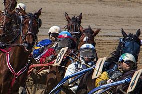 Sporting Competition of Trotting Race
