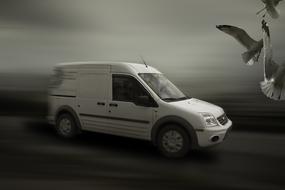 Black and white photo of the car on the road, at speed, and flying birds, under the cloudy sky