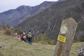 adventure hikers in the mountains