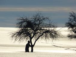 man under a tree in deep snow