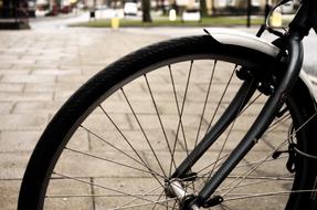 Close-up of a bike wheel with spokes, on the pavement