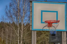 basketball court in nature among the trees