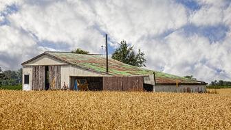 Rustic Barn on farm