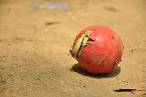 Cricket Game Ball