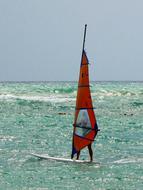 Windsurfing Sport sea Beach