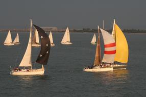 Yachts Sailing