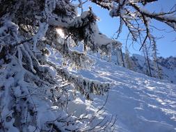 ski slope in winter