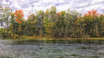 Scenery Trees Water