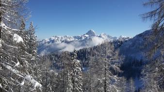 Ski Tour at Winter Mountains