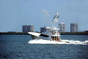 photo of Charter Fishing Game Sport