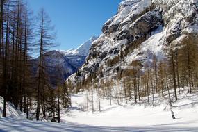 Beautiful, snowy Val of Zoldo with colorful trees, on the Dolomites in Italy