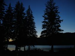 Dusk Lake Quinault landscape