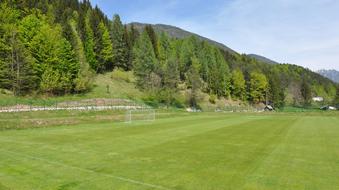 Football Field Green