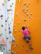 Guy climbing on the colorful wall with rope