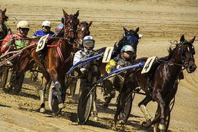 Sporty men Fight Trotting Race