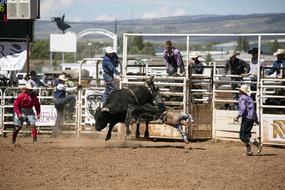 Cowboys Bull Rider Rodeo