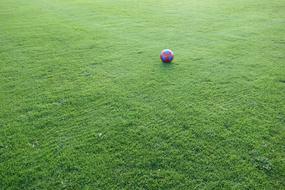 ball on green soccer field