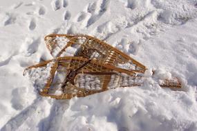 Snow Shoes Hike