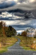 Horse Trail Skies