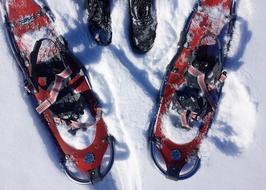 snowshoe Winter equipment