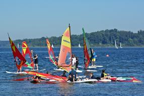 Windsurfing Athletes