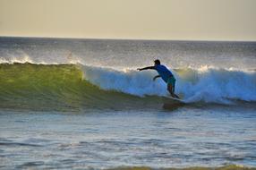 Surf Waters Wave