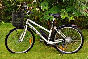 Bike Cycle Wheel on meadow