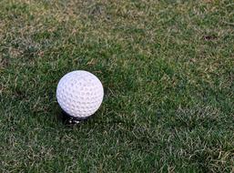 Close-up of the white golf ball on the green grass