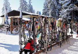 Stand With Skis in a ski resort