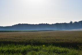 Sunrise over field Landscape