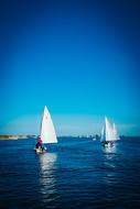 Sailing Boats on the blue water of the sea