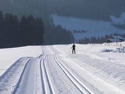 Person doing cross country skiing on the beautiful, snowy trail on the mountain with green trees