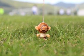 The Wooden Character figure In grass