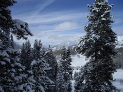 Colorado Crested Butte Skiing